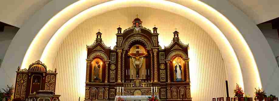 San Pedro Cathedral Cover Image